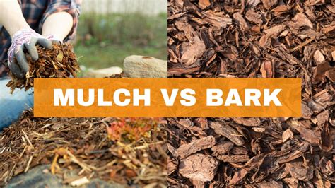 Mulch vs Bark: What's the Difference? - Greeny Thumbs