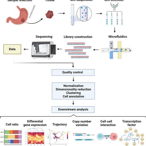 Procedure Of Single Cell Rna Sequencing Using Microfluidics Platform