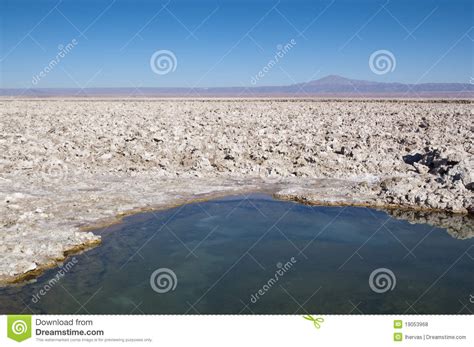 Salar de Atacama stock photo. Image of marshland, desert - 19053968