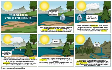 The Water Cycle Cartoon