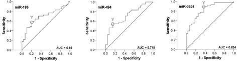 Roc Curve For Mirnas Based On The Rt Qpcr Data The Diagram Is A Plot Download Scientific