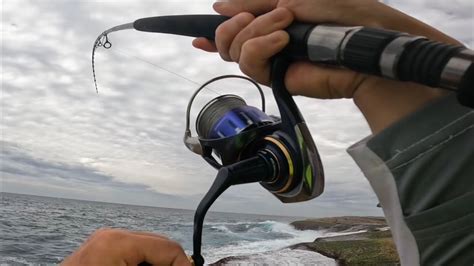 Rock Shore Fishing With Stickbaits And Strip Baits Rock Fishing Nsw