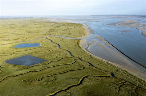 Im Muschelpark Der Somme Bucht