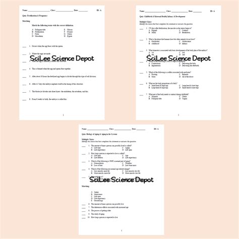 Life Cycles Assessment Packet Made By Teachers