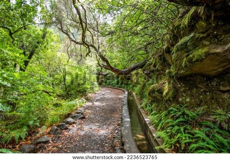 Fontes Levada Calheta Cascade Fountain Stock Photo