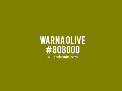 terbaru warna cat hijau olive