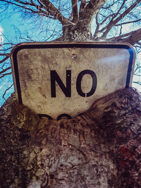 50 days of rejection 8