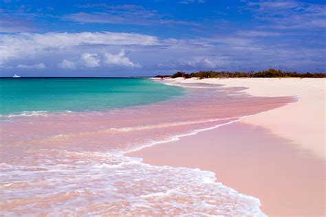 10 Best Things To Do In Barbuda What Is Barbuda Most Famous For Go