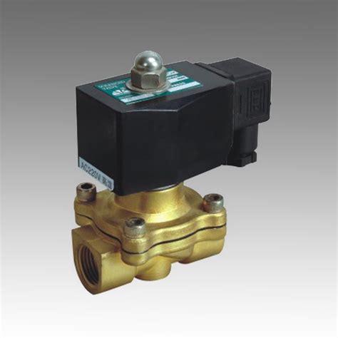 Two Way Normally Closed AC 110V 220V Water Solenoid Valve China