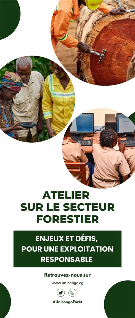 Atelier Sur Le Secteur Forestier Vers Un Avenir Durable Pour Les