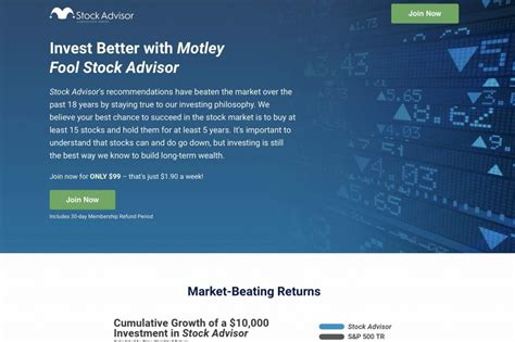 Motley Fool 2024 Stock Picks Candra Ysabel