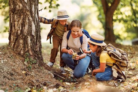 Attività all Aria Aperta Idee per il Tempo Libero in Famiglia