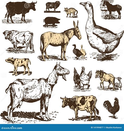 Vintage Farm Animals Drawings Set Vector Eps10 Stock Vector