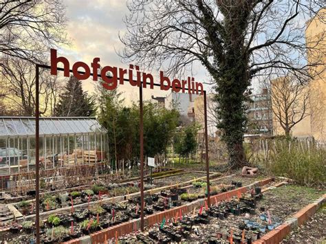 Kreuzberg Oeste Un Audiogu A Autoguiado Getyourguide