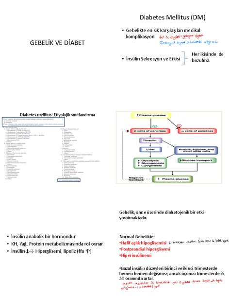 Gebelik Ve Diabet Cool Gebel K Ve D Abet Diabetes Mellitus Dm