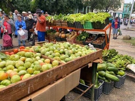 Realizar N Ferias Agropecuarias Este S Bado En Todos Los Municipios De