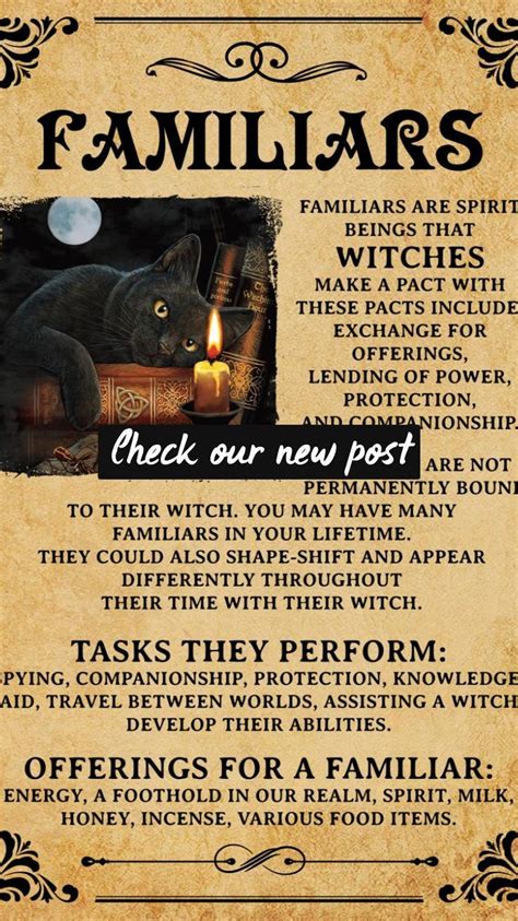 Witchcraft101 Familiars Are Spirit Witch Spell Book Witchcraft