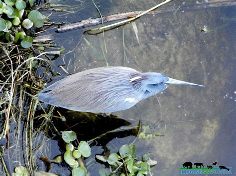 Everglades National Park | Imagine Our Florida, Inc