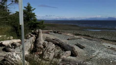 Comox Beach Goose Spit Park Beach Beautiful Bc Youtube