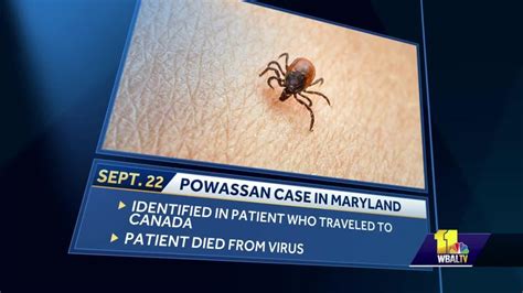 First Powassan virus case, death in Maryland reported