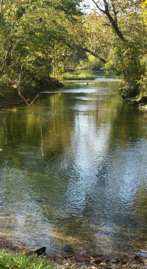 The Water Is Calm And Clear For Us To See As We Walk Along It In The Woods