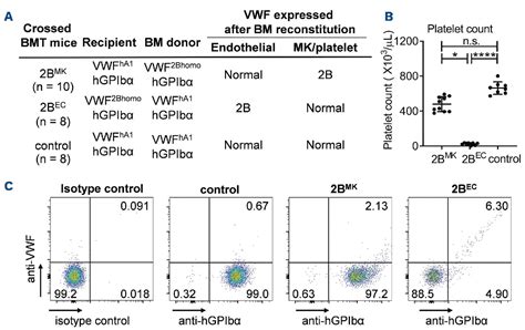 The Impact Of Aberrant Von Willebrand Factor Gpibα Interaction On Megakaryopoiesis And Platelets