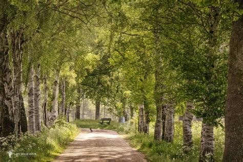 Lars Van De Goor Photography Art Goor Art Photography Country Roads