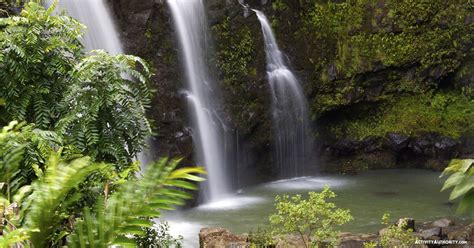 Maui Private Hiking Tour - Guided Rainforest & Waterfall Hike