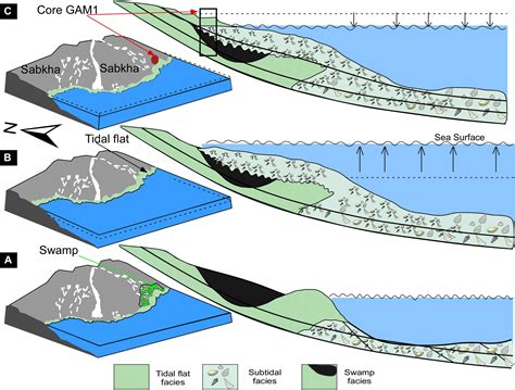 Frontiers Mid Late Holocene Paleoenvironmental And Sea Level