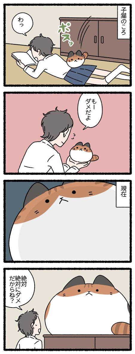 一子相伝のsasannka on Twitter RT pandania0 ねこようかい つるべおとし ねこようかい