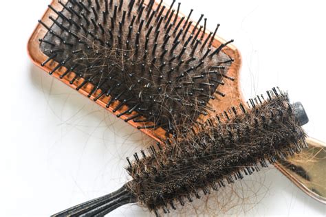 How To Clean Fuzz From Hair Brush Citizenside