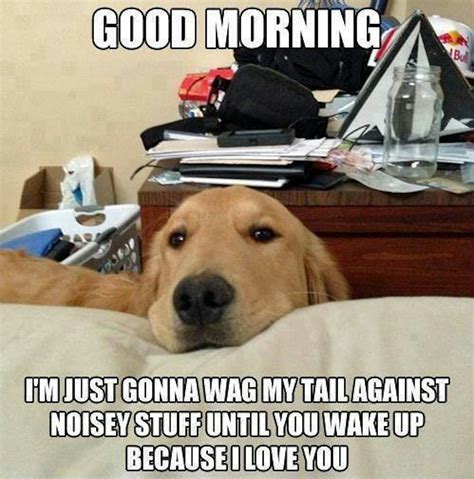 11 National Dog Day Memes That Are Just As Hilarious As They Are Cute