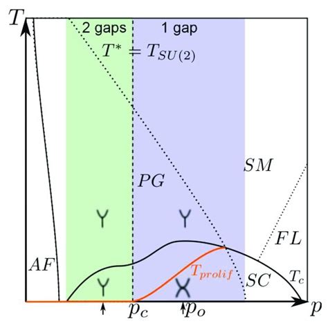 Color Online Schematic Temperature Doping T P Phase Diagram Of