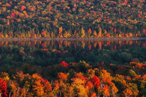 New England Fall Foliage 2022 Forecast New England