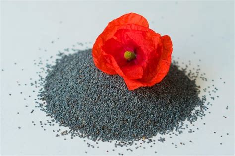 Premium Photo | A bunch of poppy seeds and a red poppy flower on a white backgroundcloseup