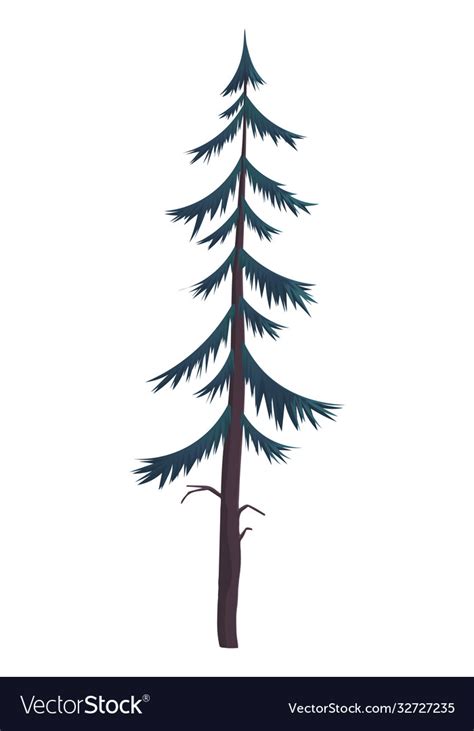 Hight green pine silhouette fir-tree simple Vector Image