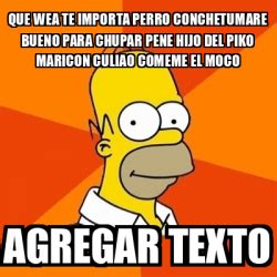 Meme Homer Que Wea Te Importa Perro Conchetumare Bueno Para Chupar