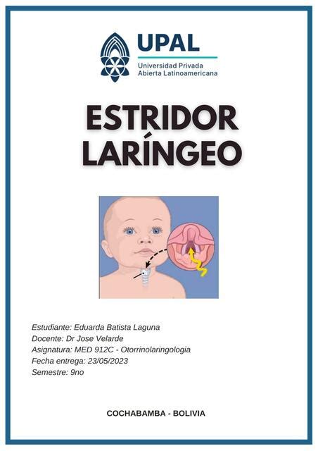 Estridor Lar Ngeo Eduarda Batista Udocz