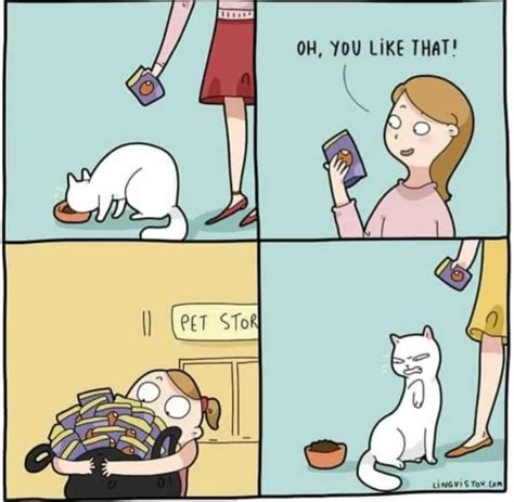 Pin By Tiffany Rose Princess On Cats Kittens Cat Comics Buy A Cat