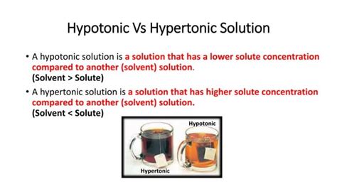 Hypotonic Vs Hypertonic Solution Pptx