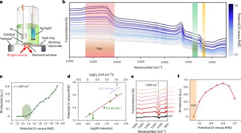 In Situ Atrftir Spectra Characterization Of The Orroer Processes On