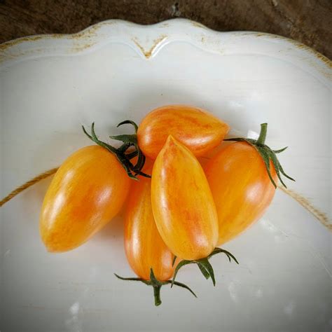 Tomate Blush Tiger Huerto Tante Puppe