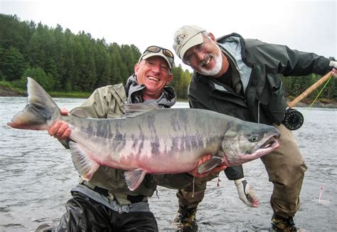 World Record Sockeye Salmon