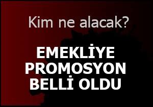 Hangi Emekli Ne Kadar Promosyon Alacak