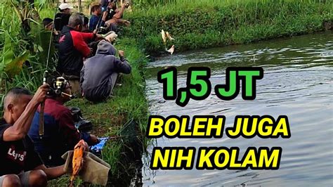 MANCING Borong Kolam Bareng Anglers SPT MBT Bersatu YouTube