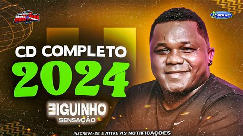 Biguinho SensaÇÃo Cd Completo 2024 As Melhores Do Biguinho🍛 Descubra