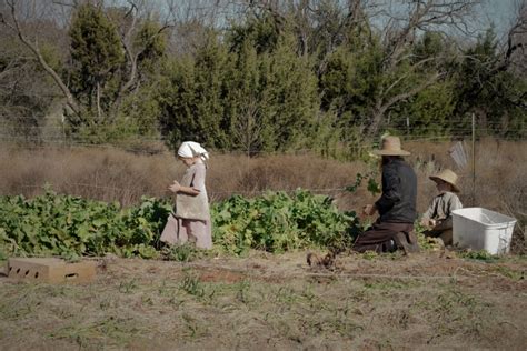 The Final Turnip Harvest | Nourishing Days