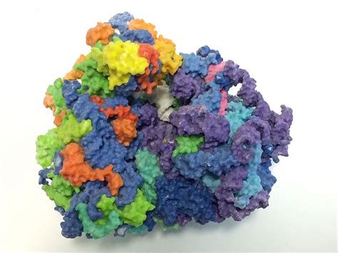 Using Tropical Maths To Model Ribosome Dynamics Ima