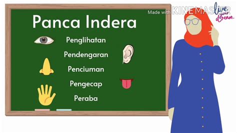 Mewarnai Gambar Panca Indra 56 Koleksi Gambar