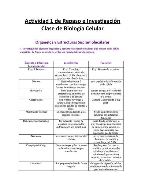 Actividad Era Una Gu A Actividad De Repaso E Investigaci N